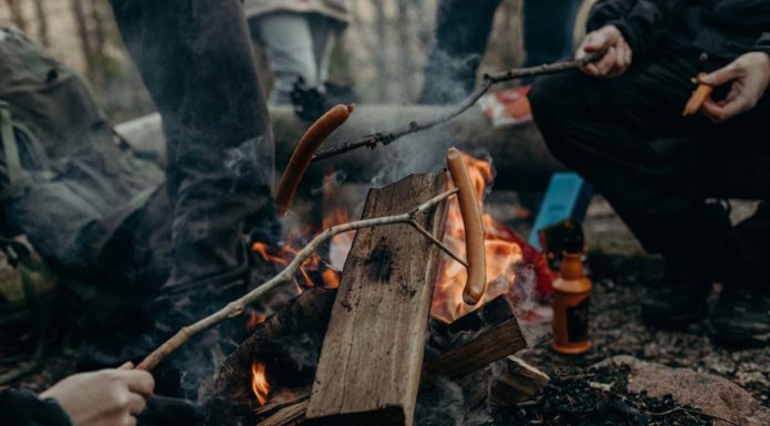 5 Must Have Snacks While Camping Out With Kids Must have snacks while camping