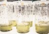 Victory Unnoticed In The Pandemic World Mosquito Program
