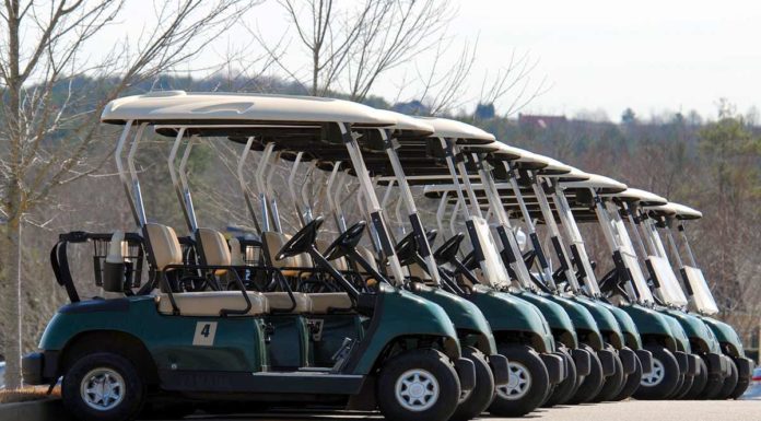 Engineer’s Day | Go Green With Scientific Minds And Innovative Engg Solutions Go Green