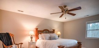 The Ultimate Buyer’s Guide for Choosing The Best Smart Ceiling Fan best smart ceiling fan