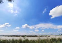 Strategic Actions Needed To Address Air And Water Pollution In India: Experts Air and Water Pollution