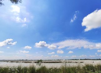 Strategic Actions Needed To Address Air And Water Pollution In India: Experts Air and Water Pollution