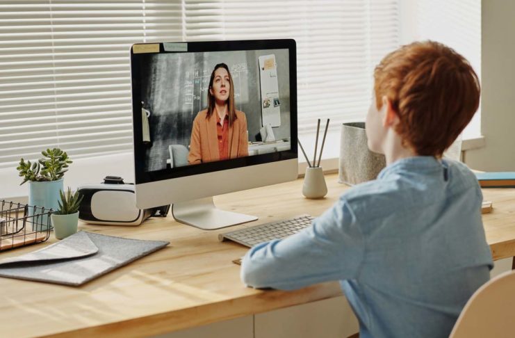 A student in an e-learning session