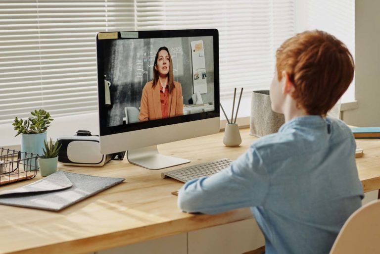 A student in an e-learning session