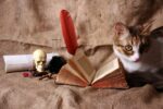 World’s Most Shocking And Scary Superstitions You Might Not Be Knowing Scary Superstitions