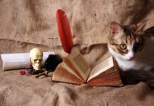 World’s Most Shocking And Scary Superstitions You Might Not Be Knowing Scary Superstitions