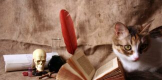 World’s Most Shocking And Scary Superstitions You Might Not Be Knowing Scary Superstitions