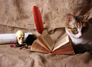 World’s Most Shocking And Scary Superstitions You Might Not Be Knowing Scary Superstitions