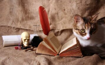 World’s Most Shocking And Scary Superstitions You Might Not Be Knowing Scary Superstitions