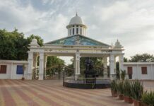 Universities Should Lead By Example In Sustainability and SDGs University of Mysore