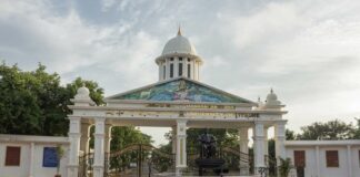 Universities Should Lead By Example In Sustainability and SDGs University of Mysore