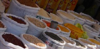 Food Security And Inclusive Sustainable Development Will Go Together Food Security