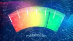 Metabolism Is Life – Be It Plants, Animals Or Humans Metabolism is life