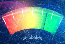 Metabolism Is Life – Be It Plants, Animals Or Humans Metabolism is life