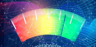 Metabolism Is Life – Be It Plants, Animals Or Humans Metabolism is life