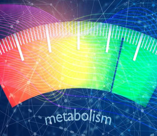 Metabolism Is Life – Be It Plants, Animals Or Humans Metabolism is life