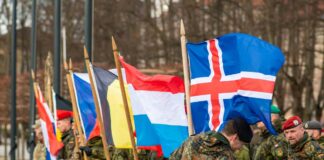 Erdogan’s Impunity As An Example Of NATO Double Standards NATO-Member-Nations