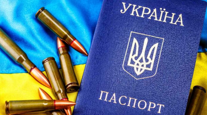 Propaganda Or Real Assistance? What Kind Of Weapons Ukraine Really Needs? Ukrainian Passport and Weapons