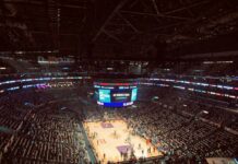 Best and Most Profitable Sports to Bet on in 2022 Most profitable sports