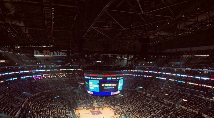 Best and Most Profitable Sports to Bet on in 2022 Most profitable sports