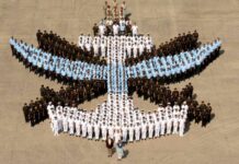 New Bill Assisting Theaterization? Triservices