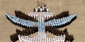 New Bill Assisting Theaterization? Triservices