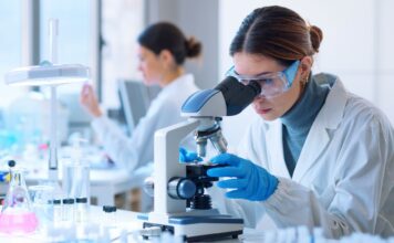 Data Mapping In Clinical Trials: A Basic Guide Data Mapping