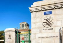 The White Taliban Organization (WTO) World Trade Organization