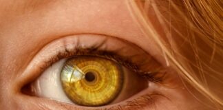 Retinal Detachment: Keys To Detect Its Symptoms Retinal Detachment