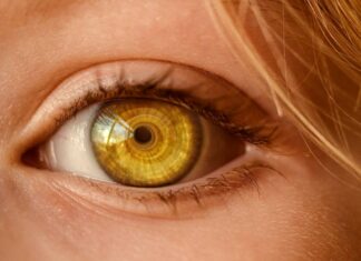 Retinal Detachment: Keys To Detect Its Symptoms Retinal Detachment