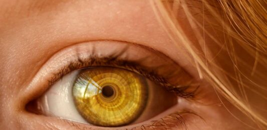 Retinal Detachment: Keys To Detect Its Symptoms Retinal Detachment