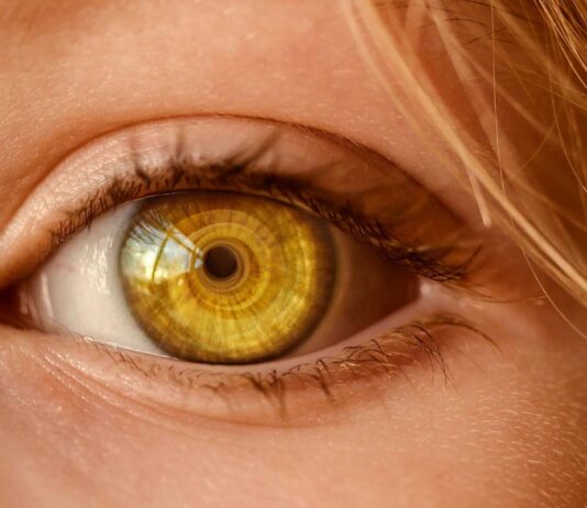 Retinal Detachment: Keys To Detect Its Symptoms Retinal Detachment