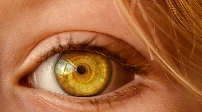 Retinal Detachment: Keys To Detect Its Symptoms Retinal Detachment