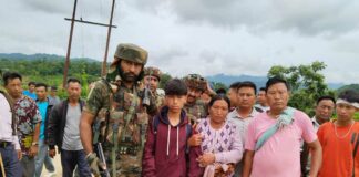 The Manipur Marshland Manipur