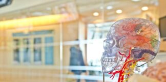 Neurostrike Weapons and ‘Doctor Death’ Neurostrike, Human Brain