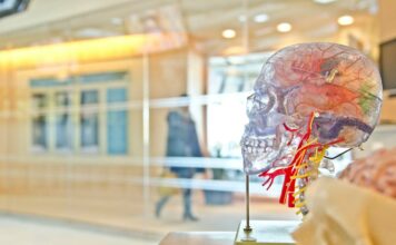 Neurostrike Weapons and ‘Doctor Death’ Neurostrike, Human Brain