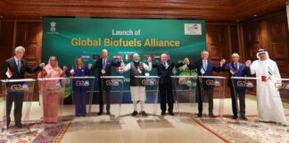 G20 Summit 2023: 7 Key Takeaways From The Intergovernmental Forum In New Delhi Global Biofuels, G20 India