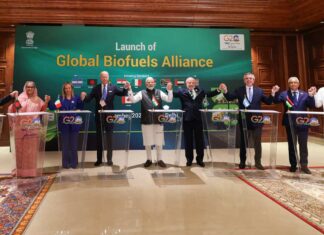 G20 Summit 2023: 7 Key Takeaways From The Intergovernmental Forum In New Delhi Global Biofuels, G20 India