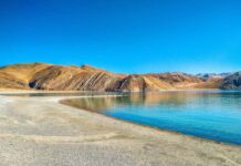 Paralysis In Ladakh Pangong Tso Lake