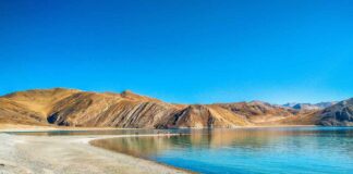Paralysis In Ladakh Pangong Tso Lake