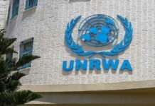 UNRWA Defunding – From Complicity To Direct Involvement in Genocide Of Palestinians UNRWA