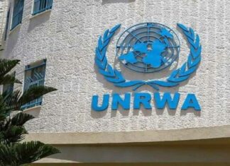 UNRWA Defunding – From Complicity To Direct Involvement in Genocide Of Palestinians UNRWA