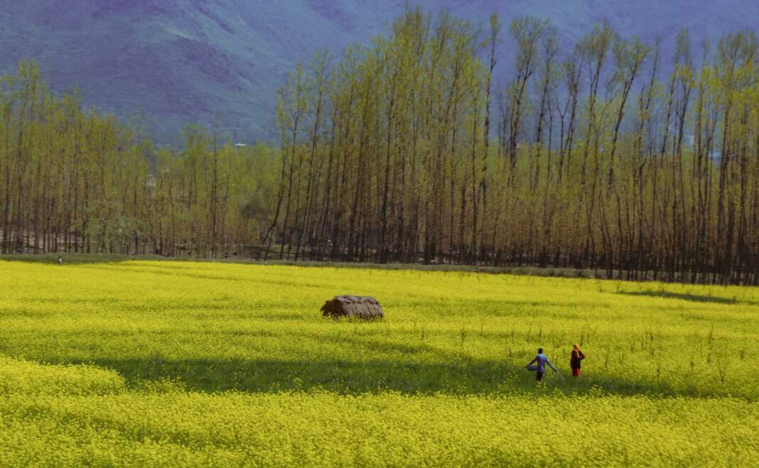 Pahalgam, Jammu Kashmir