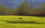 Jammu & Kashmir (J&K) Going Full Spectrum Pahalgam, Jammu Kashmir