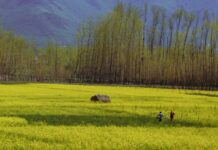 Jammu & Kashmir (J&K) Going Full Spectrum Pahalgam, Jammu Kashmir
