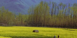 Jammu & Kashmir (J&K) Going Full Spectrum Pahalgam, Jammu Kashmir