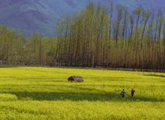 Jammu & Kashmir (J&K) Going Full Spectrum Pahalgam, Jammu Kashmir