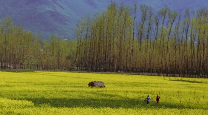 Jammu & Kashmir (J&K) Going Full Spectrum Pahalgam, Jammu Kashmir