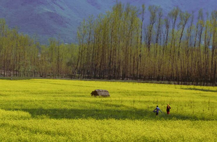 Pahalgam, Jammu Kashmir