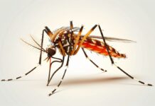 UPL SAS Supports India In Its Fight Against Malaria And Dengue With Its Public Health Solutions UPL SAS supports India’s health mission with innovative mosquito control solutions.